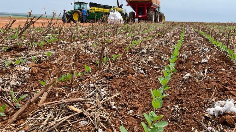 Cresce número de agricultores com acesso ao seguro rural