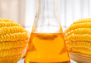 Biocombustível deve aumentar o consumo do cereal dentro de MT em 6,25%