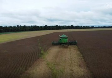 Colheita da soja e plantio do milho passam de 80% em Mato Grosso