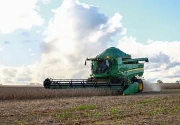 O outono deve impactar o campo com temperaturas acima da média