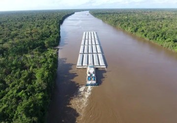 Portos do Arco Norte transportaram 47,4% de todo o milho exportado em 2024