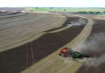 Agricultores em MT denunciam descontos abusivos na classificação da soja 