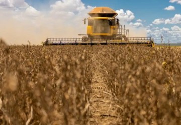Imea observa possível safra recorde mesmo sem encerrar a colheita 