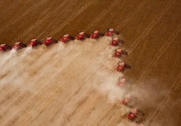 Colheita histórica de soja com mais de 50 milhões t em Mato Grosso