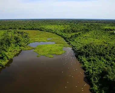 MT e MS desenvolverão plano integrado de combate a incêndios no Pantanal