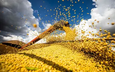 Cerca de R$ 40 bi foram tirados das exportações de grãos brasileiros por prêmios negativos