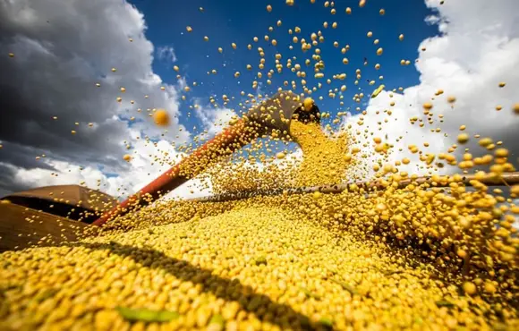 Cerca de R$ 40 bi foram tirados das exportações de grãos brasileiros por prêmios negativos