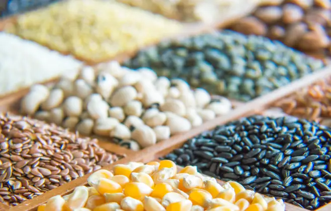 CONAB divulga 7º estimativa da safra de grãos 23/24 que segue em queda 